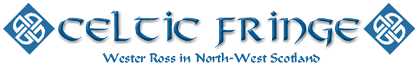 Celtic Fringe logo