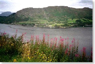 view over Loch Carron to Strome