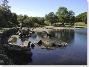 Tollie Bay, Loch Maree